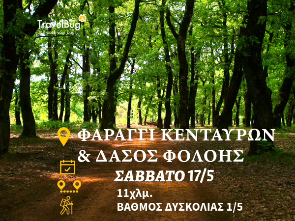 ΦΟΛΟΗ ΦΑΡΑΓΓΙ ΚΕΝΤΑΥΡΩΝ